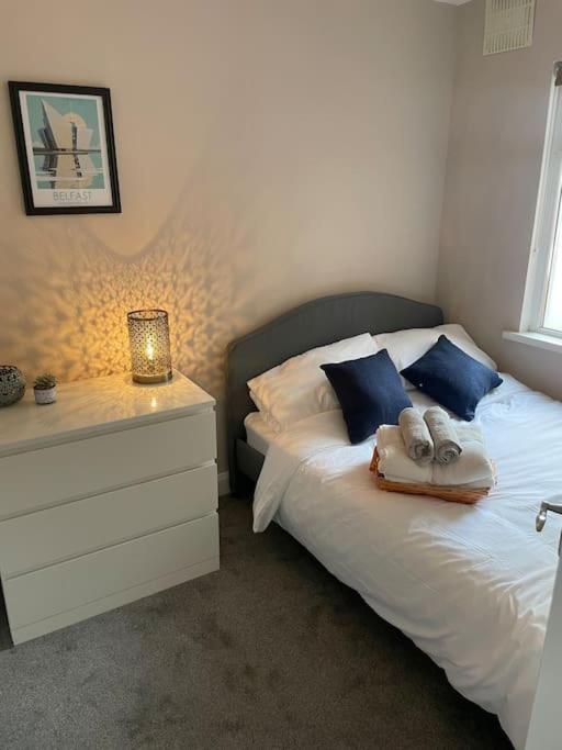 Comfortable Home In Belfast Luaran gambar